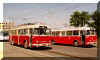('Trolejbusy 9 Tr slo 353 a 358 na Ndra D')