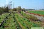 DSC 1466