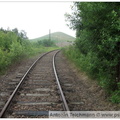 DSCF0421