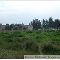 DSCF0442