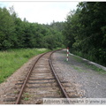 DSCF0446