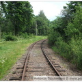 DSCF0448