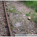 DSCF0450