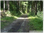 DSCN0243