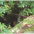 DSCN0249