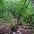 DSCN3046.jpg