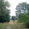 DSCN3049