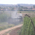 42-chmelnice