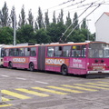 hk-lutep-11