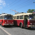 dod-042