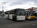 dod-429