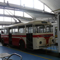 den-bez-trolejbusu-001