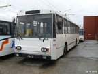 den-bez-trolejbusu-002