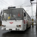 den-bez-trolejbusu-003