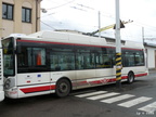 den-bez-trolejbusu-006