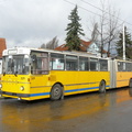 den-bez-trolejbusu-015