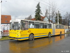 den-bez-trolejbusu-015