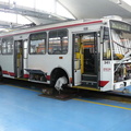 den-bez-trolejbusu-017