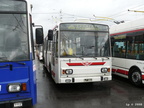 den-bez-trolejbusu-020
