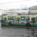 den-bez-trolejbusu-023.jpg