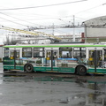 den-bez-trolejbusu-023