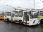 den-bez-trolejbusu-024
