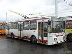 den-bez-trolejbusu-025
