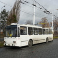 den-bez-trolejbusu-026