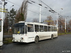 den-bez-trolejbusu-026