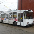 den-bez-trolejbusu-028
