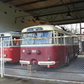 den-bez-trolejbusu-029