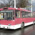 den-bez-trolejbusu-030