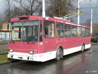 den-bez-trolejbusu-030