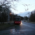 den-bez-trolejbusu-039
