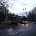 den-bez-trolejbusu-040