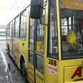 den-bez-trolejbusu-048