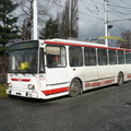 den-bez-trolejbusu-051