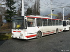 den-bez-trolejbusu-051