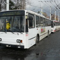 den-bez-trolejbusu-054