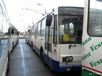 den-bez-trolejbusu-058