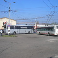 dod-2010-015