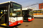 dod-2010-195