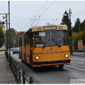 DSC 7846