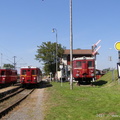 oslavy-09