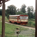 810-026-kobyla