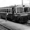810-176-cicenice