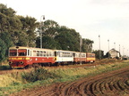 810-196-medlesice