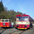 810-212-zdarec
