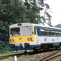 810-236-zleby