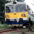 810-293-zleby
